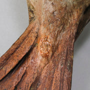 Bergman Bird - Bergman Bronze - Hickmet Fine Arts