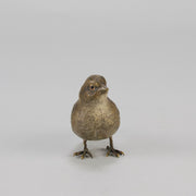 Bergman bronze sparrow