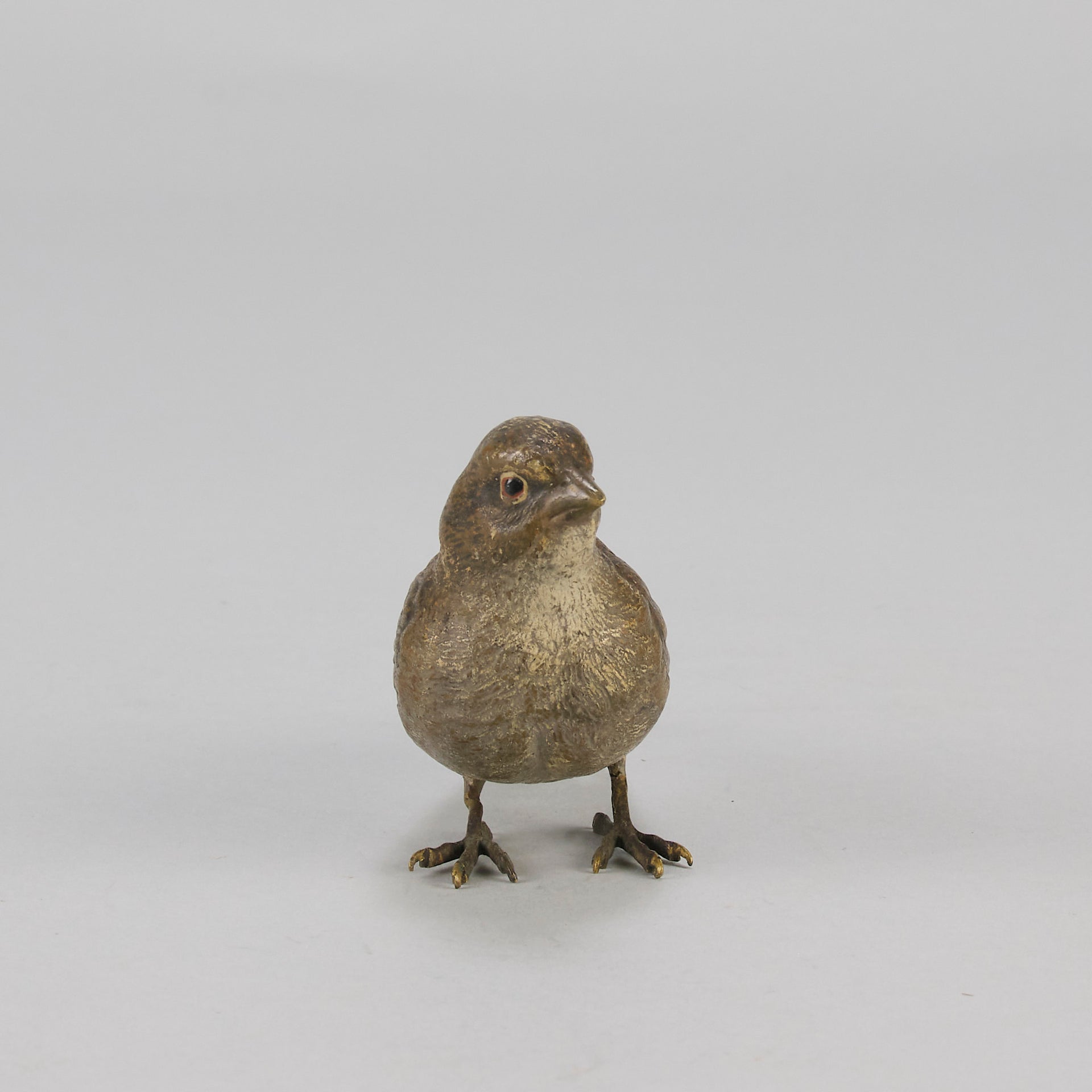 Bergman bronze sparrow