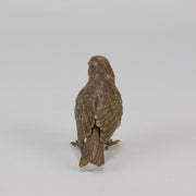 Bergman bronze sparrow