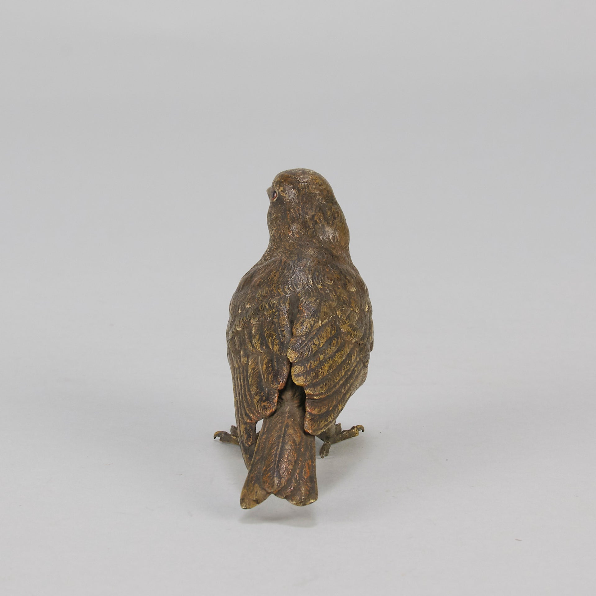 Bergman bronze sparrow