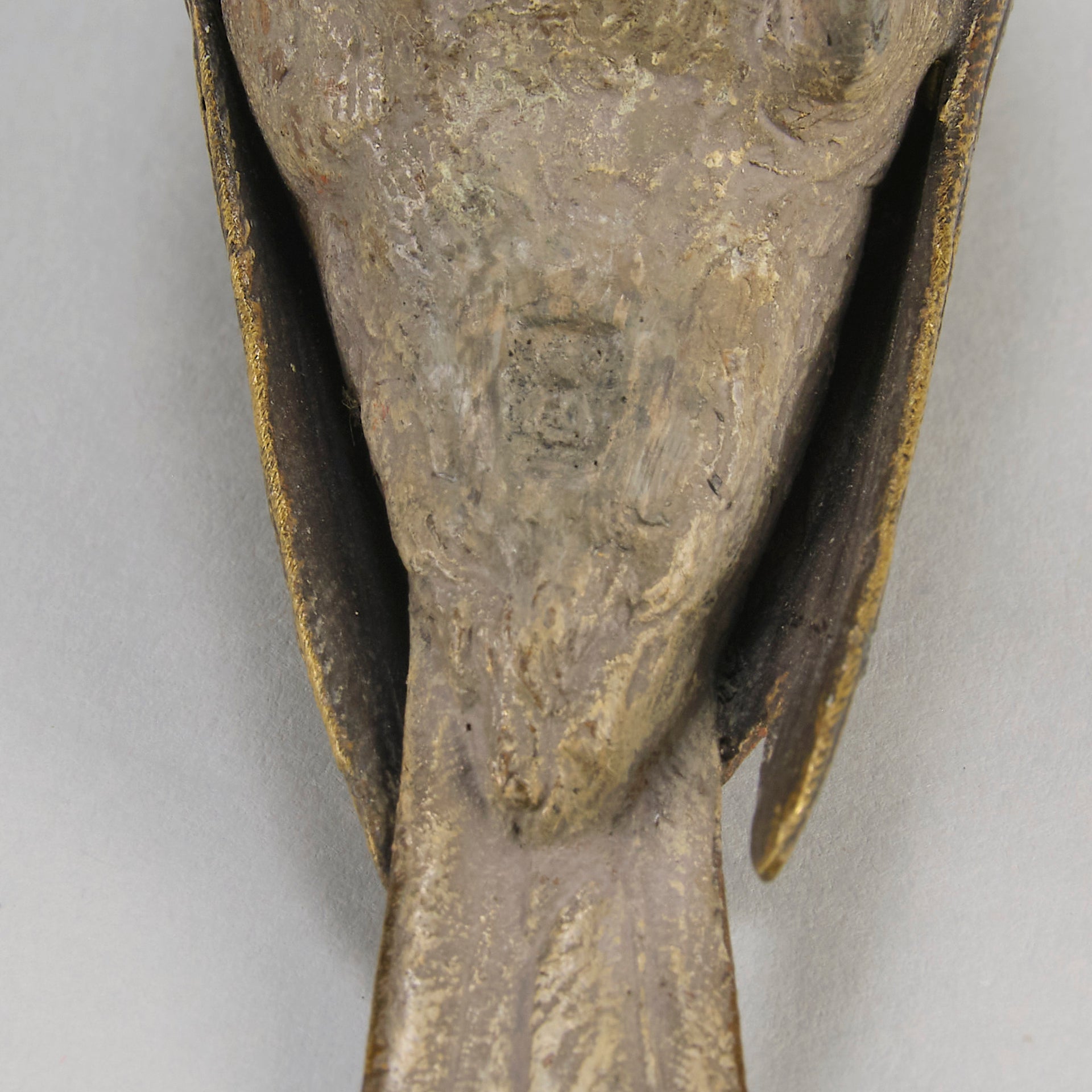 Bergman bronze sparrow