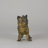 Vienna Bronze - Franz Bergman Cat - Hickmet Fine Arts