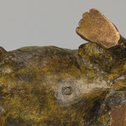 Vienna Bronze - Franz Bergman Cat - Hickmet Fine Arts