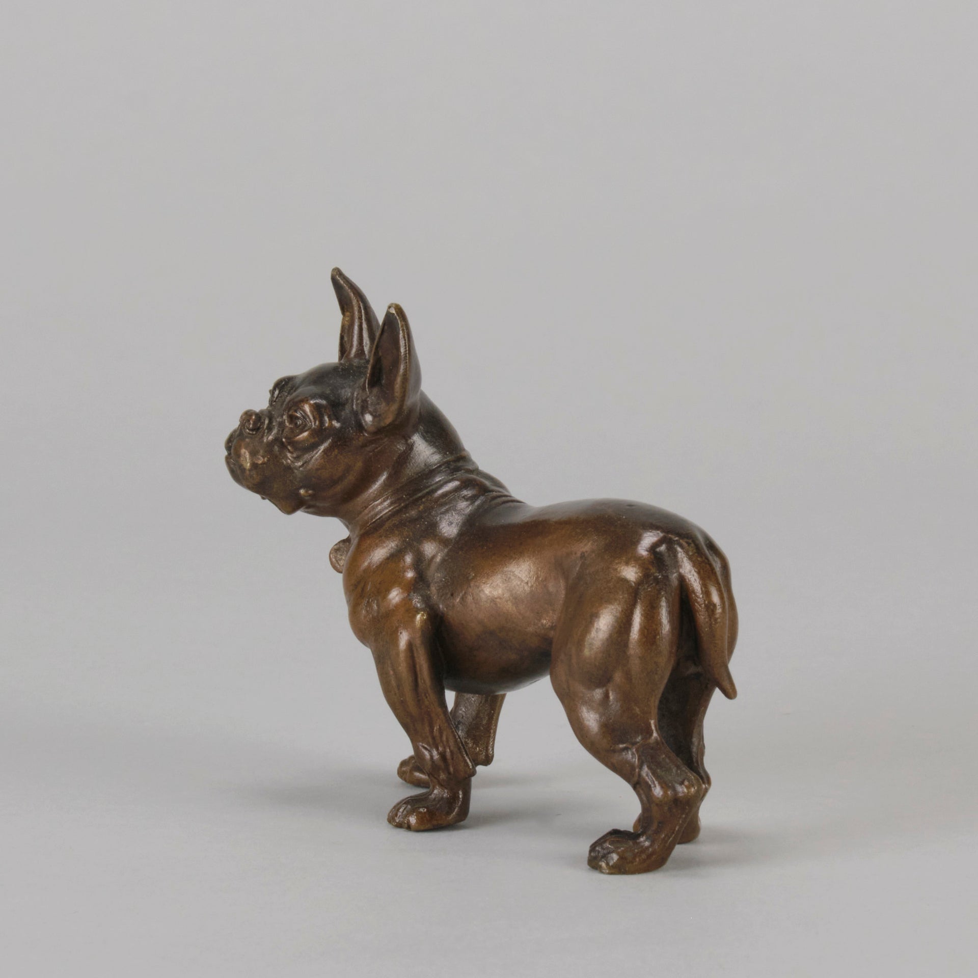 Bergman Bulldog - Bergman Bronze - Hickmet Fine Arts