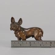 Bergman Bulldog - Bergman Bronze - Hickmet Fine Arts