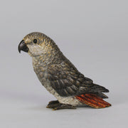 Bergman Parrot - Bergman Bronze - Hickmet Fine Arts