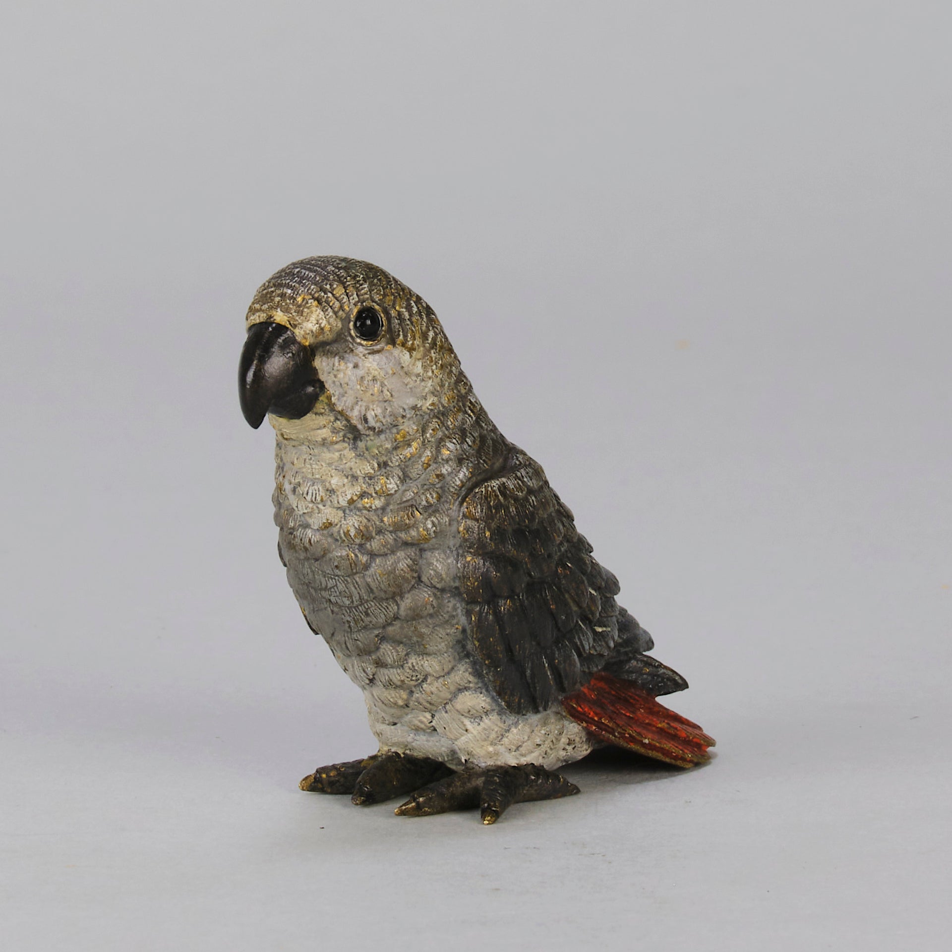 Bergman Parrot - Bergman Bronze - Hickmet Fine Arts