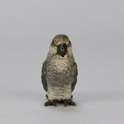 Bergman Parrot - Bergman Bronze - Hickmet Fine Arts