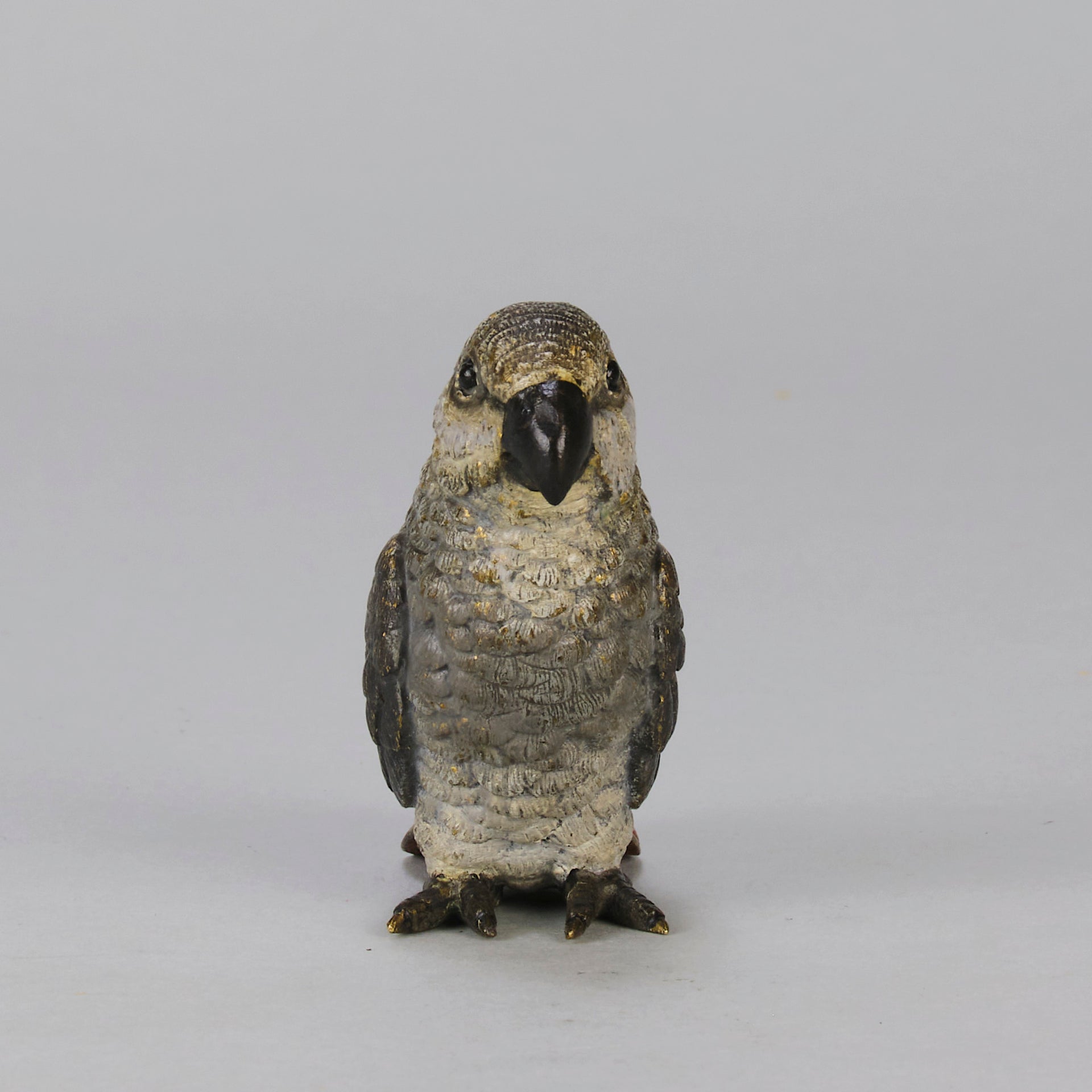 Bergman Parrot - Bergman Bronze - Hickmet Fine Arts