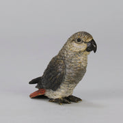 Bergman Parrot - Bergman Bronze - Hickmet Fine Arts