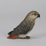 Bergman Parrot - Bergman Bronze - Hickmet Fine Arts