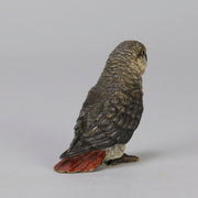 Bergman Parrot - Bergman Bronze - Hickmet Fine Arts