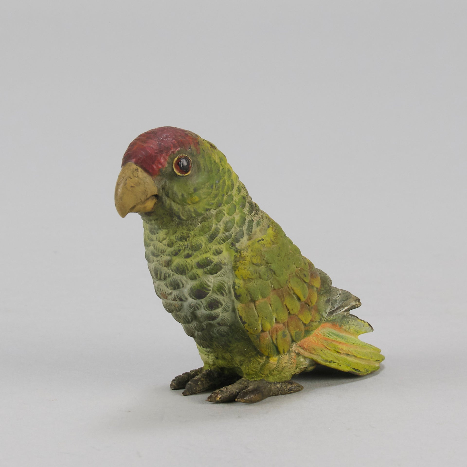 Bergman bronze parrot
