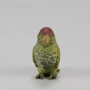 Bergman bronze parrot