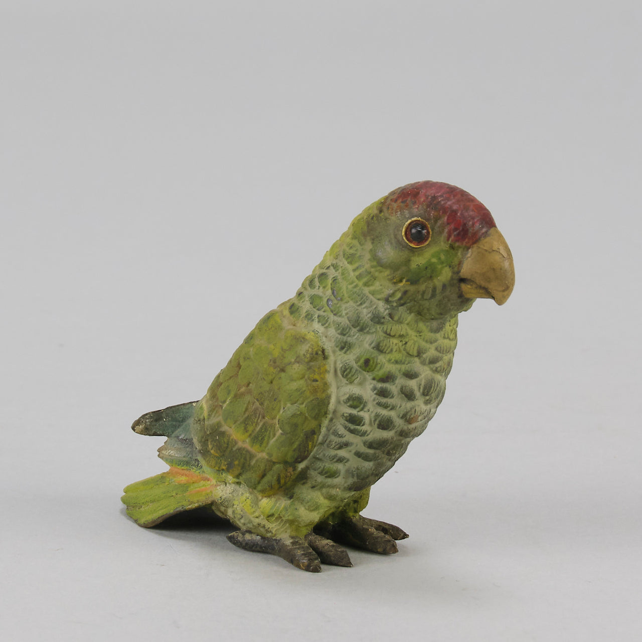 Bergman bronze parrot