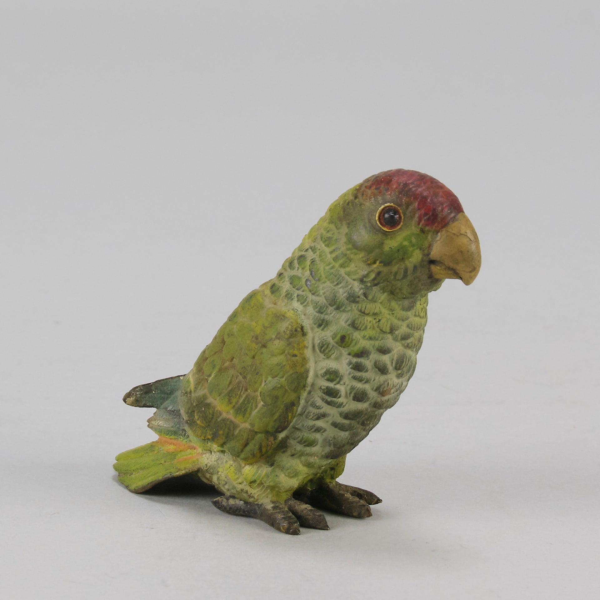 Bergman bronze parrot