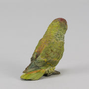 Bergman bronze parrot