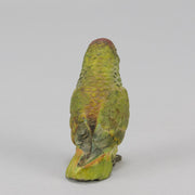 Bergman bronze parrot