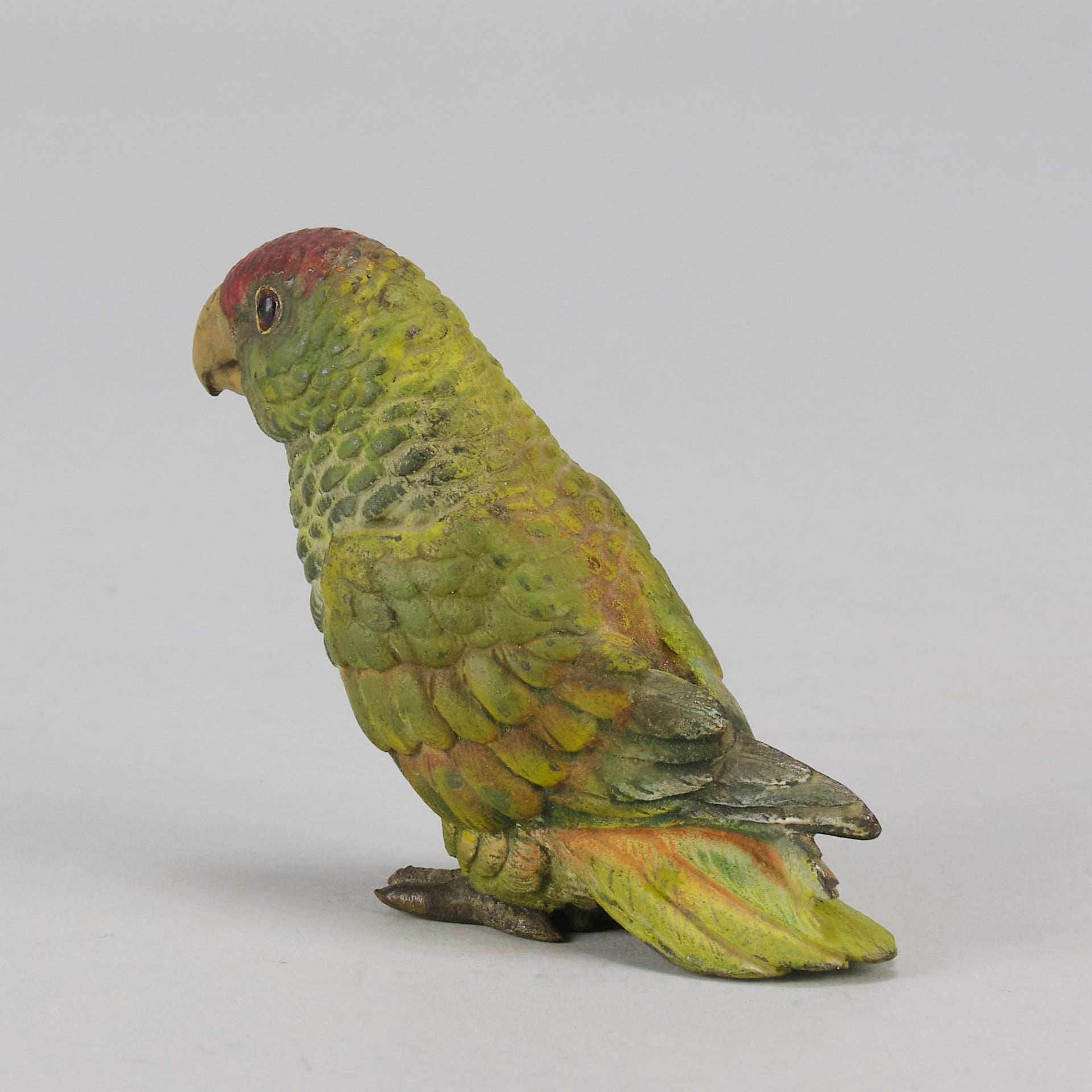Bergman bronze parrot