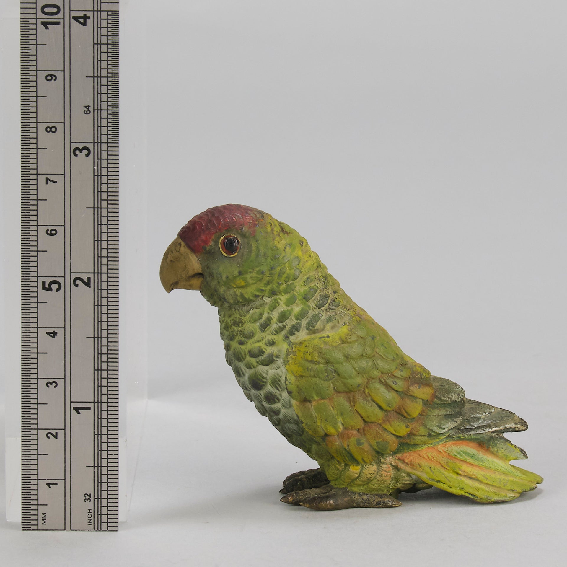 Bergman bronze parrot