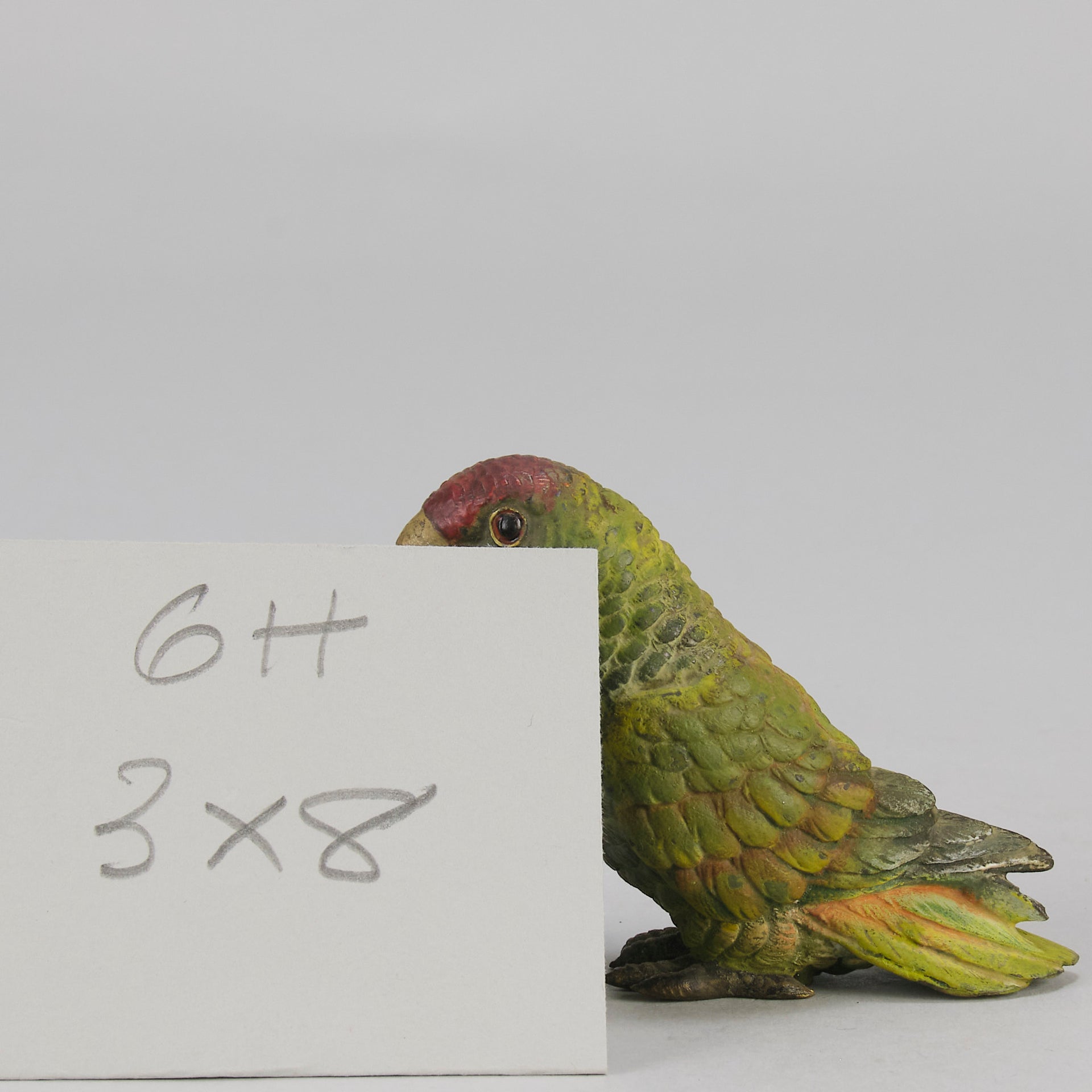 Bergman bronze parrot