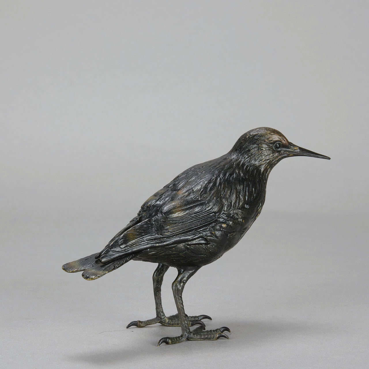 Franz Bergman "Starling"