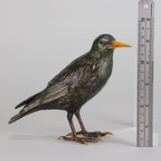 Bergman Starling- Bergman Bronze - Hickmet Fine Arts