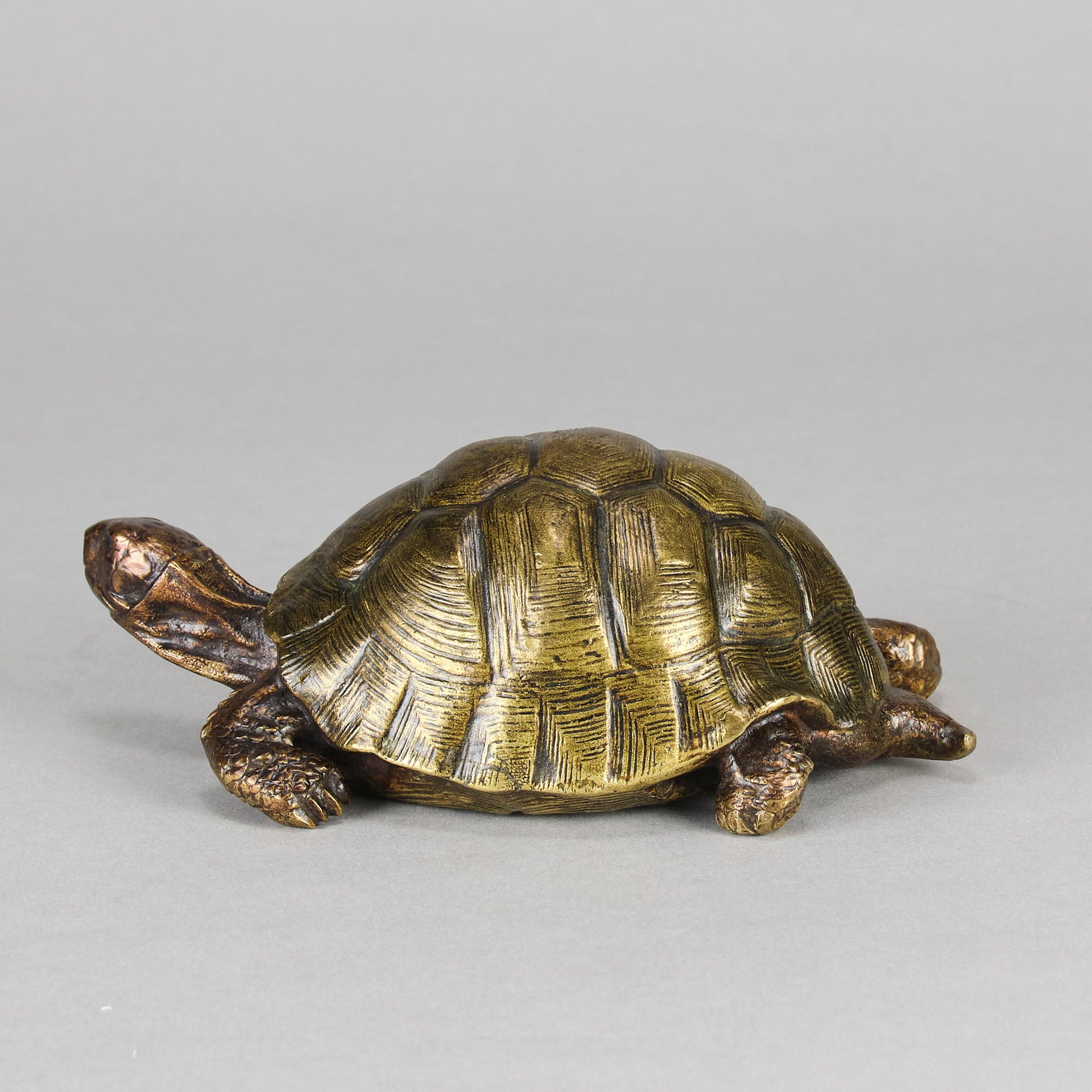 Vienna Bronze - Franz Bergman Tortoise - Hickmet Fine Arts