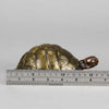 Vienna Bronze - Franz Bergman Tortoise - Hickmet Fine Arts