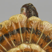 Bergman Turkey - Antique Austrian Bronze - Hickmet Fine Arts