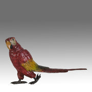 Bergman Parrot - Bergman Bronze - Hickmet Fine Arts