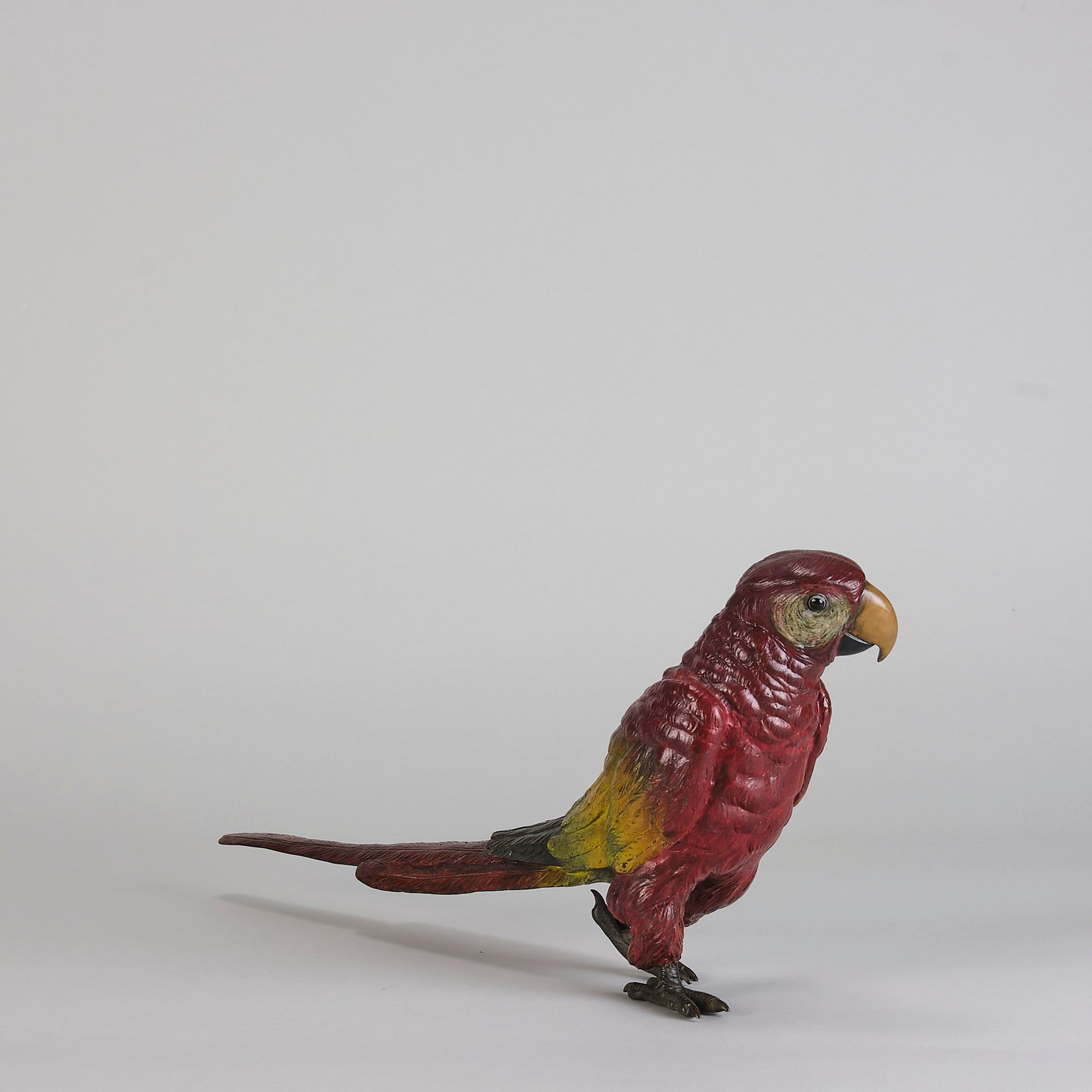 Bergman Parrot - Bergman Bronze - Hickmet Fine Arts