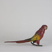 Bergman Parrot - Bergman Bronze - Hickmet Fine Arts