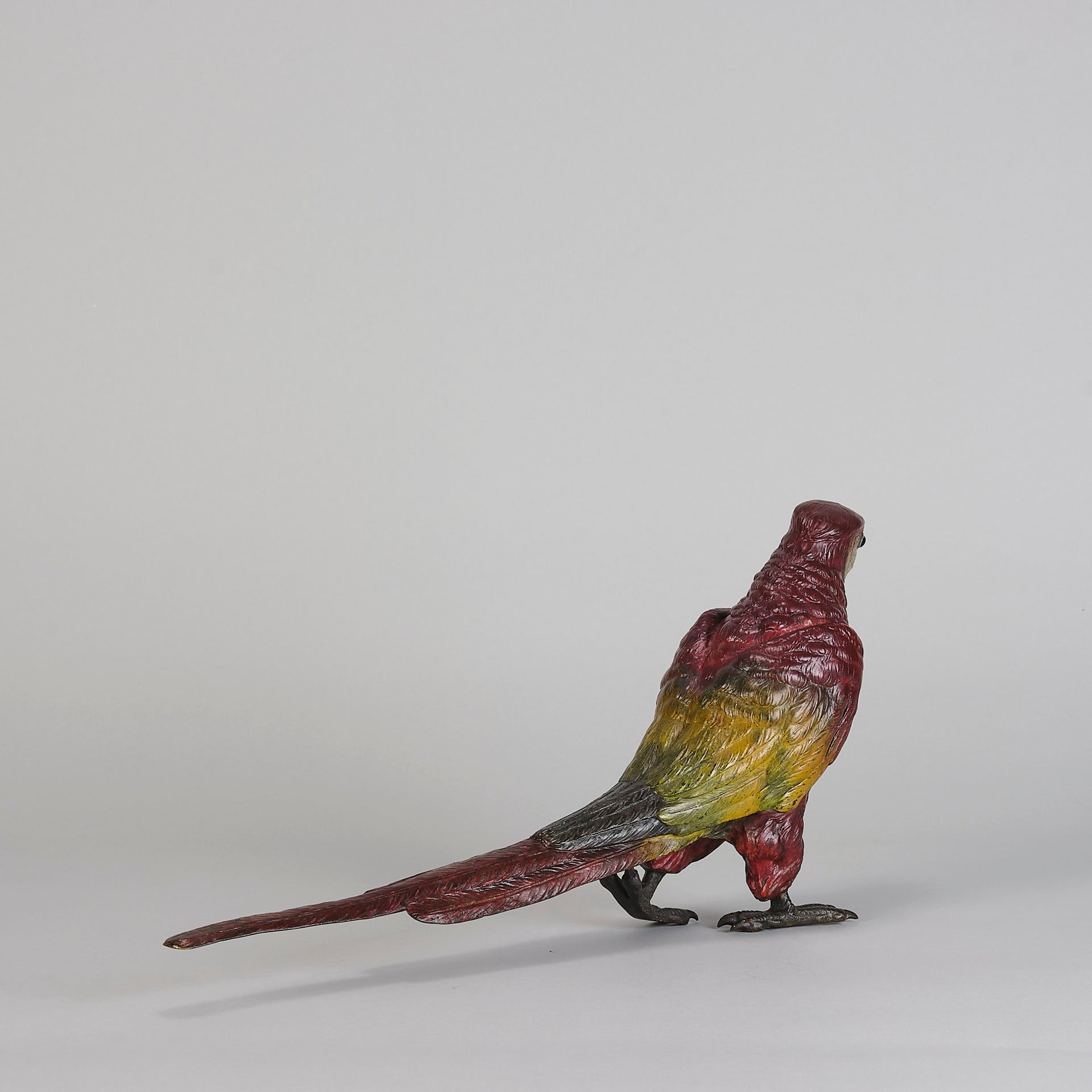 Bergman Parrot - Bergman Bronze - Hickmet Fine Arts