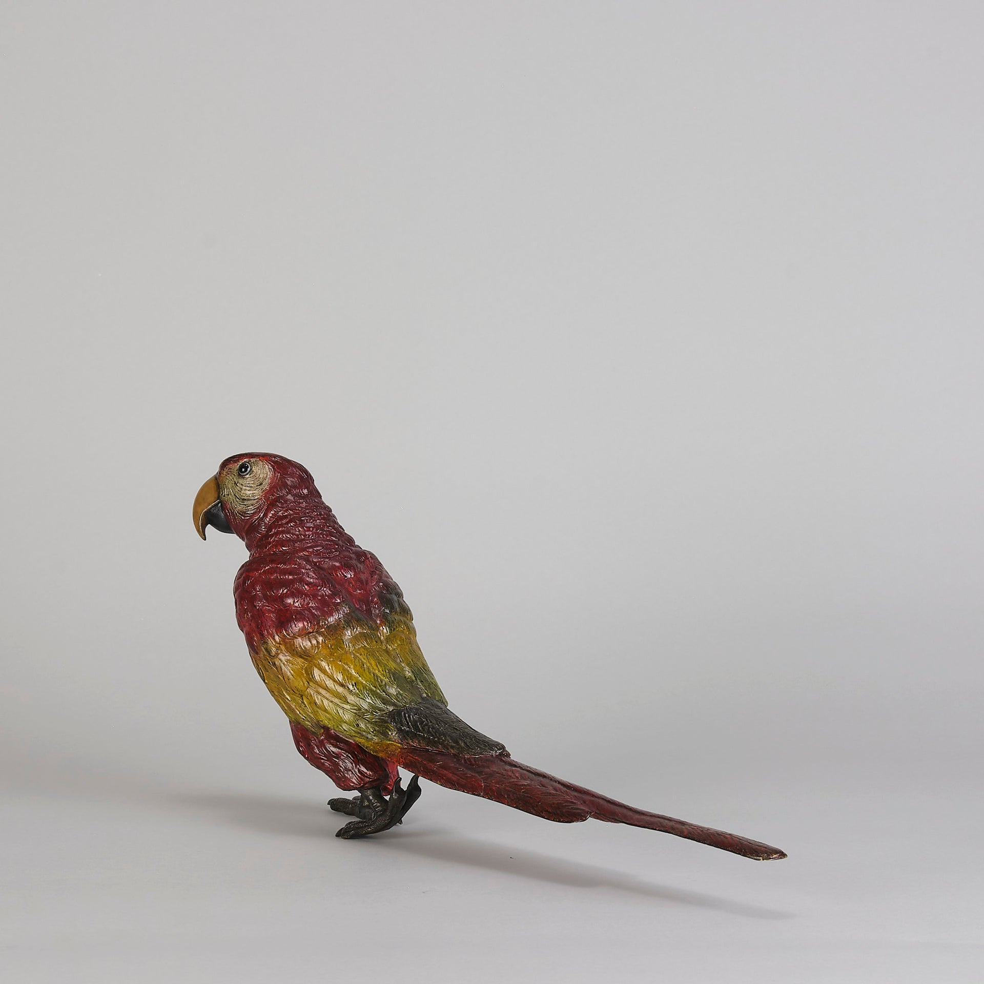 Bergman Parrot - Bergman Bronze - Hickmet Fine Arts