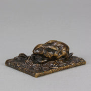 French Bronze - Animalier Bronze Rabbit - Hickmet Fine Arts 