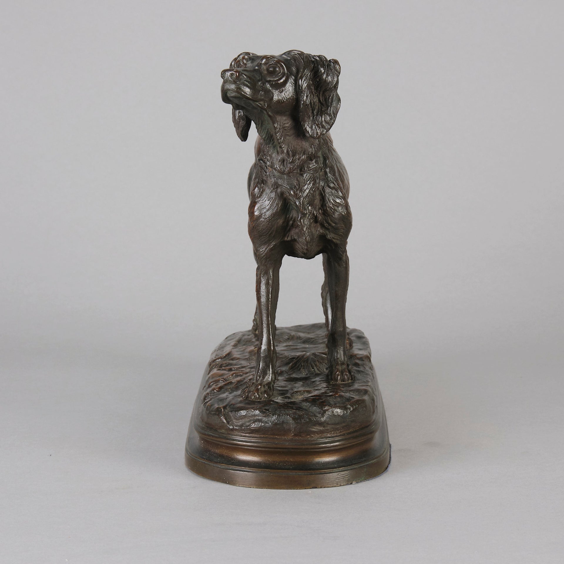 Moigniez bronze setter