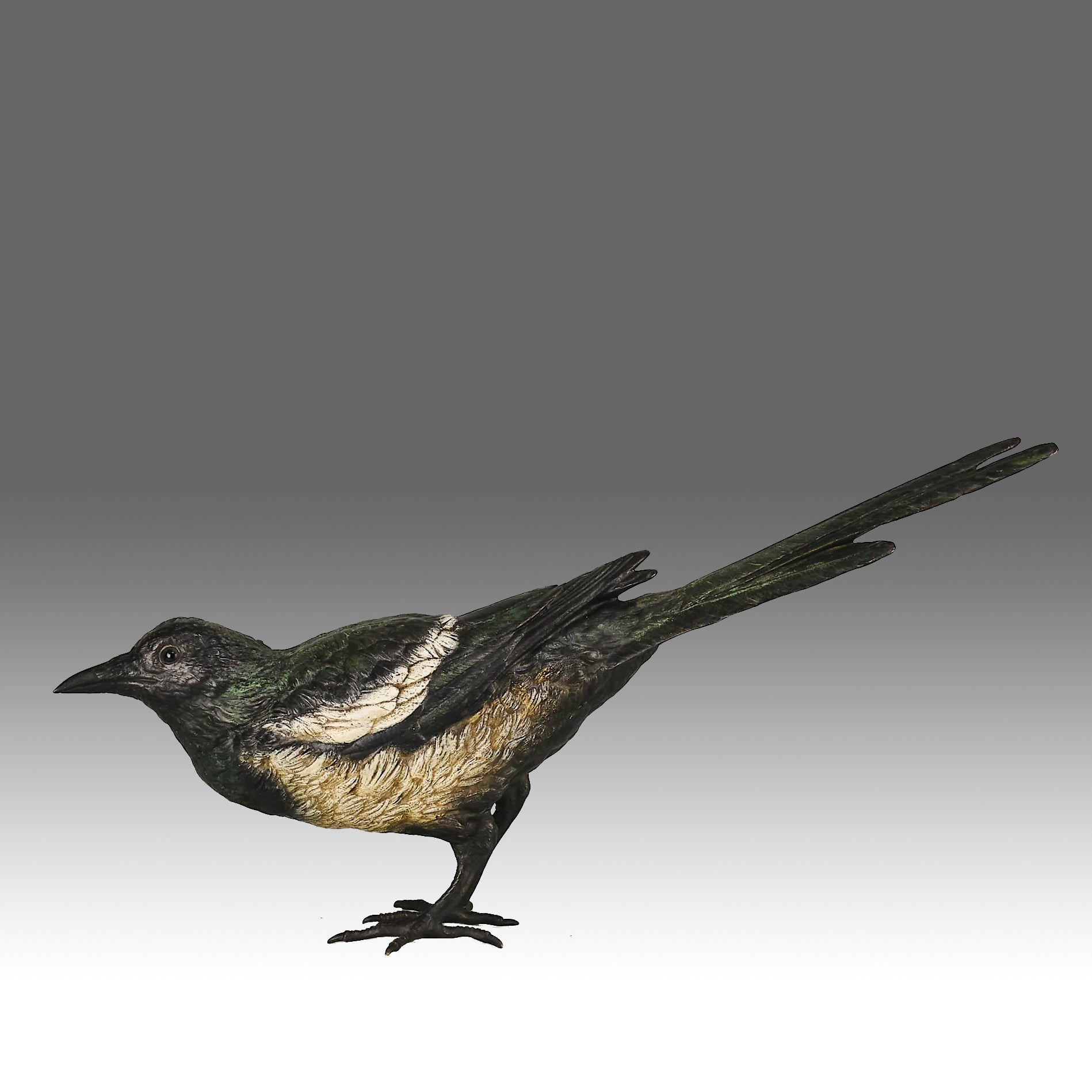 bergman bronze magpie