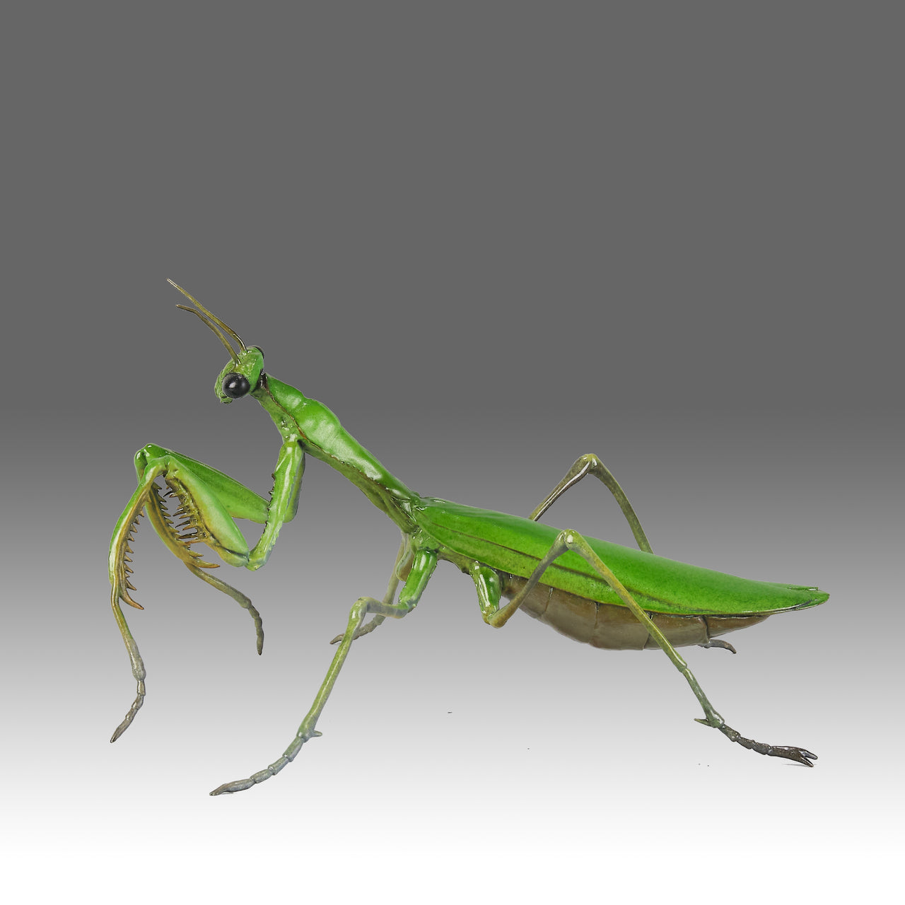 Continental Bronze "Praying Mantis"
