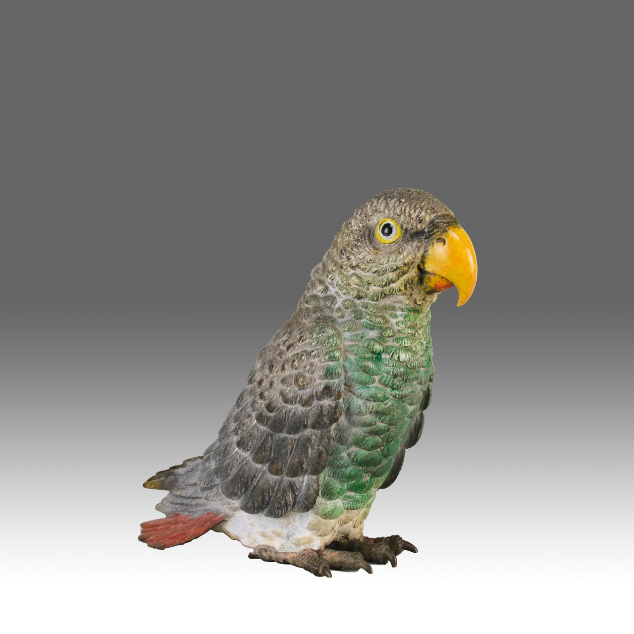 "Grey Parrot" by Franz Bergman