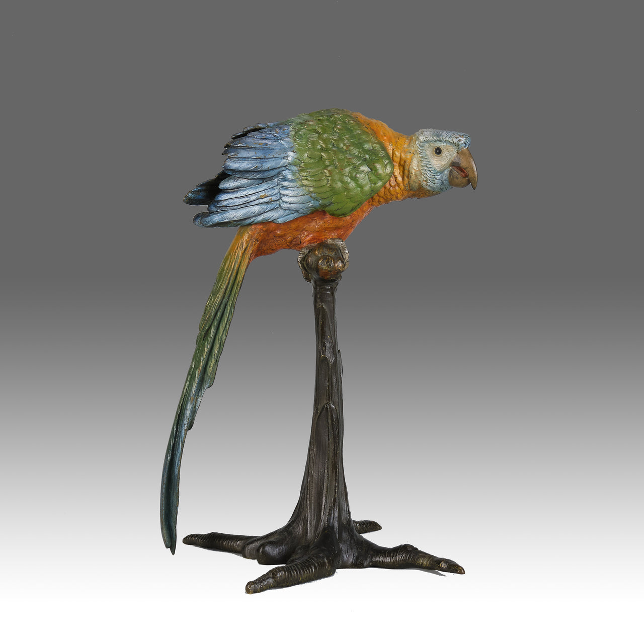 Franz Bergman and Carl Kauba Parrot on a Branch