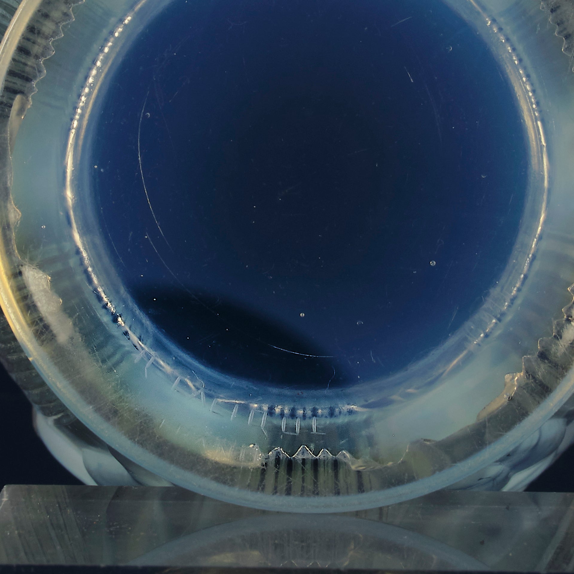 Rene Lalique Daniades Vase - Art Deco Vase - Hickmet Fine Arts