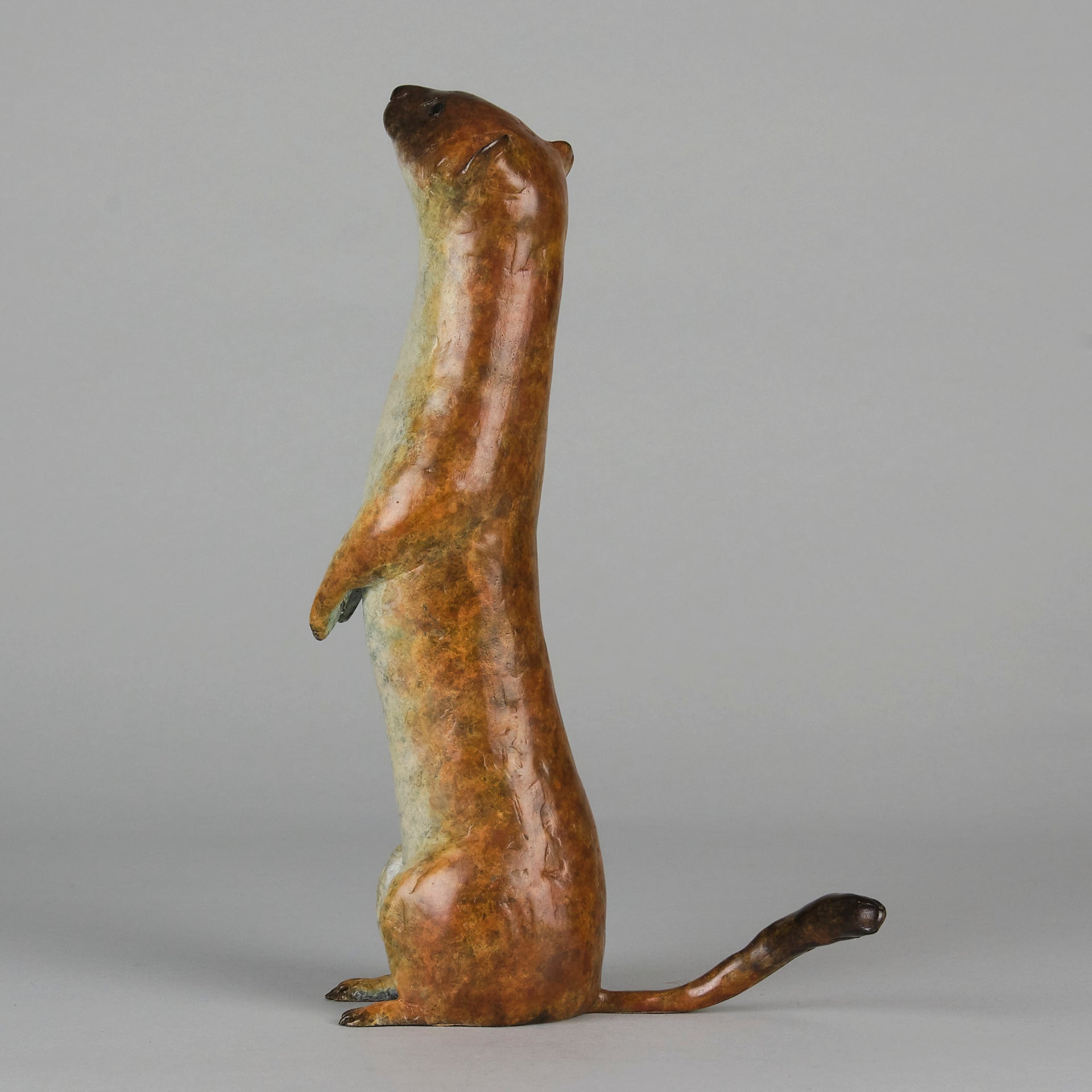 "Stoat" by Richard Smith - Limited Edition Bronze - Hickmet Fine Arts 