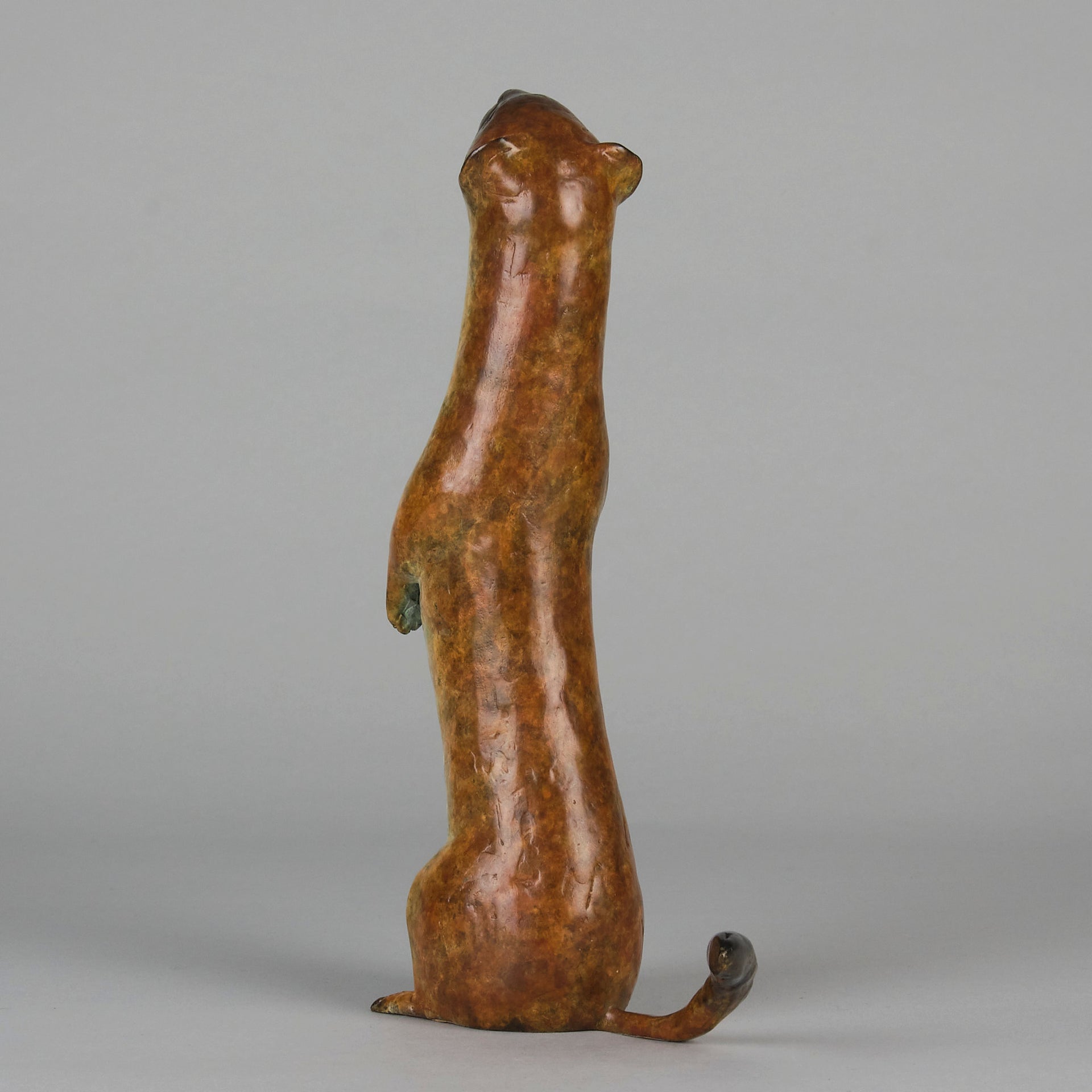 "Stoat" by Richard Smith - Limited Edition Bronze - Hickmet Fine Arts 