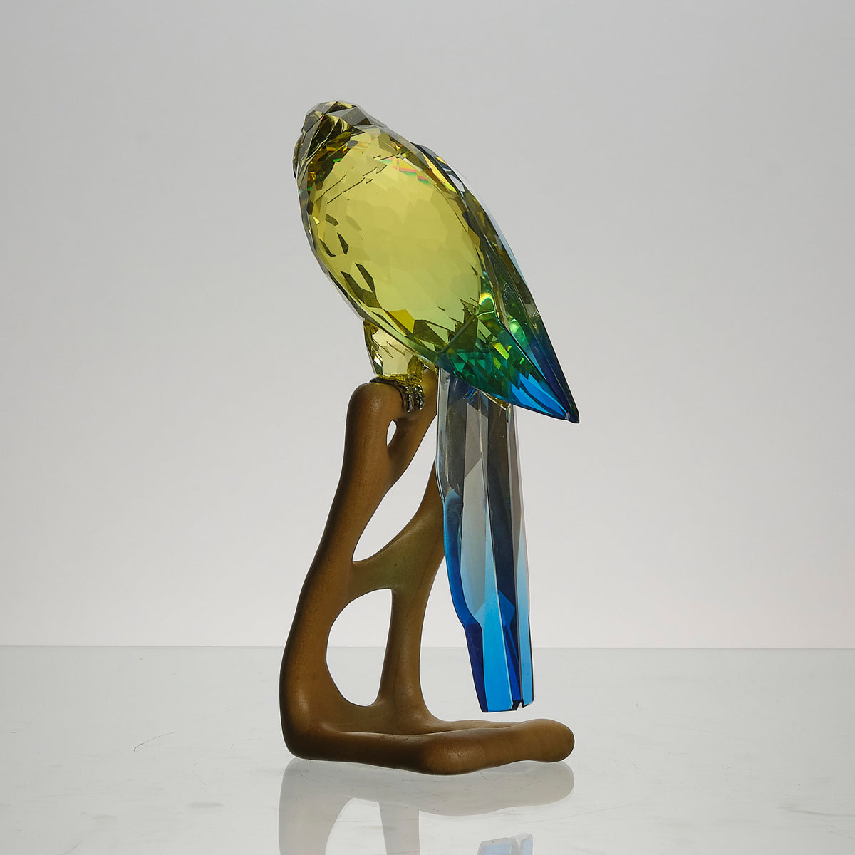 Hickmet Fine Arts - Contemporary Swarvoski Parrot