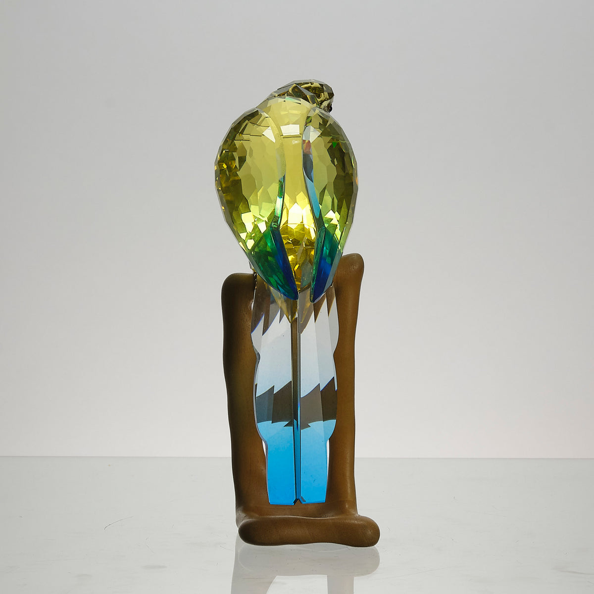 Hickmet Fine Arts - Contemporary Swarvoski Parrot