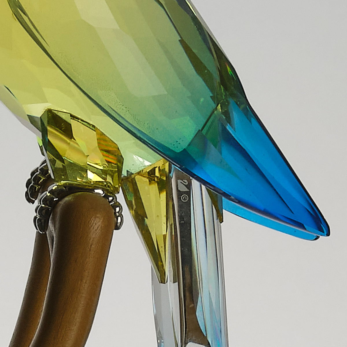Hickmet Fine Arts - Contemporary Swarvoski Parrot
