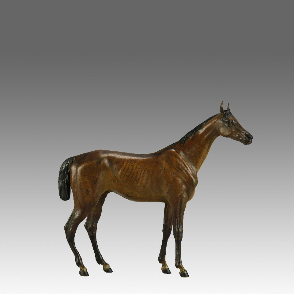 "Standing Horse" by Franz Bergman