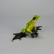Tim Cotterill Frog - Limited Edition Bronze - Hickmet Fine Arts